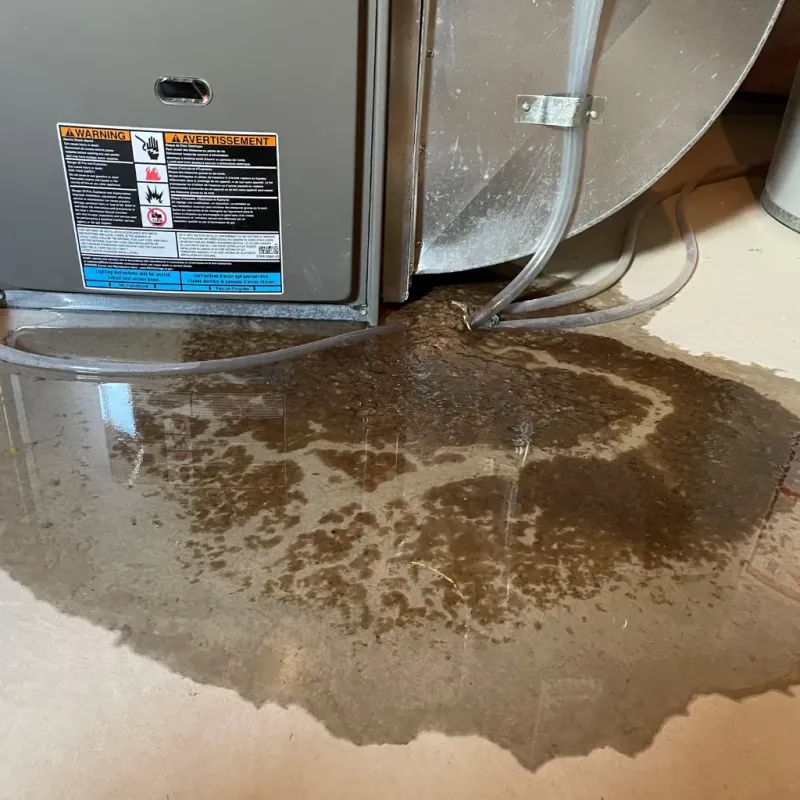 Appliance Leak Cleanup in Weyers Cave, VA